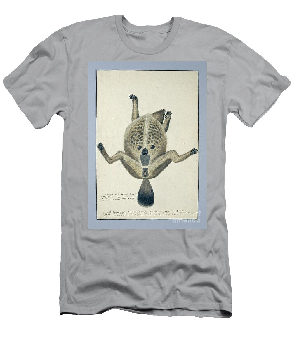 Crocuta Crocuta Spotted Hyena Robert Jacob Gordon 17771 Robert Jacob Gordon T-Shirt
