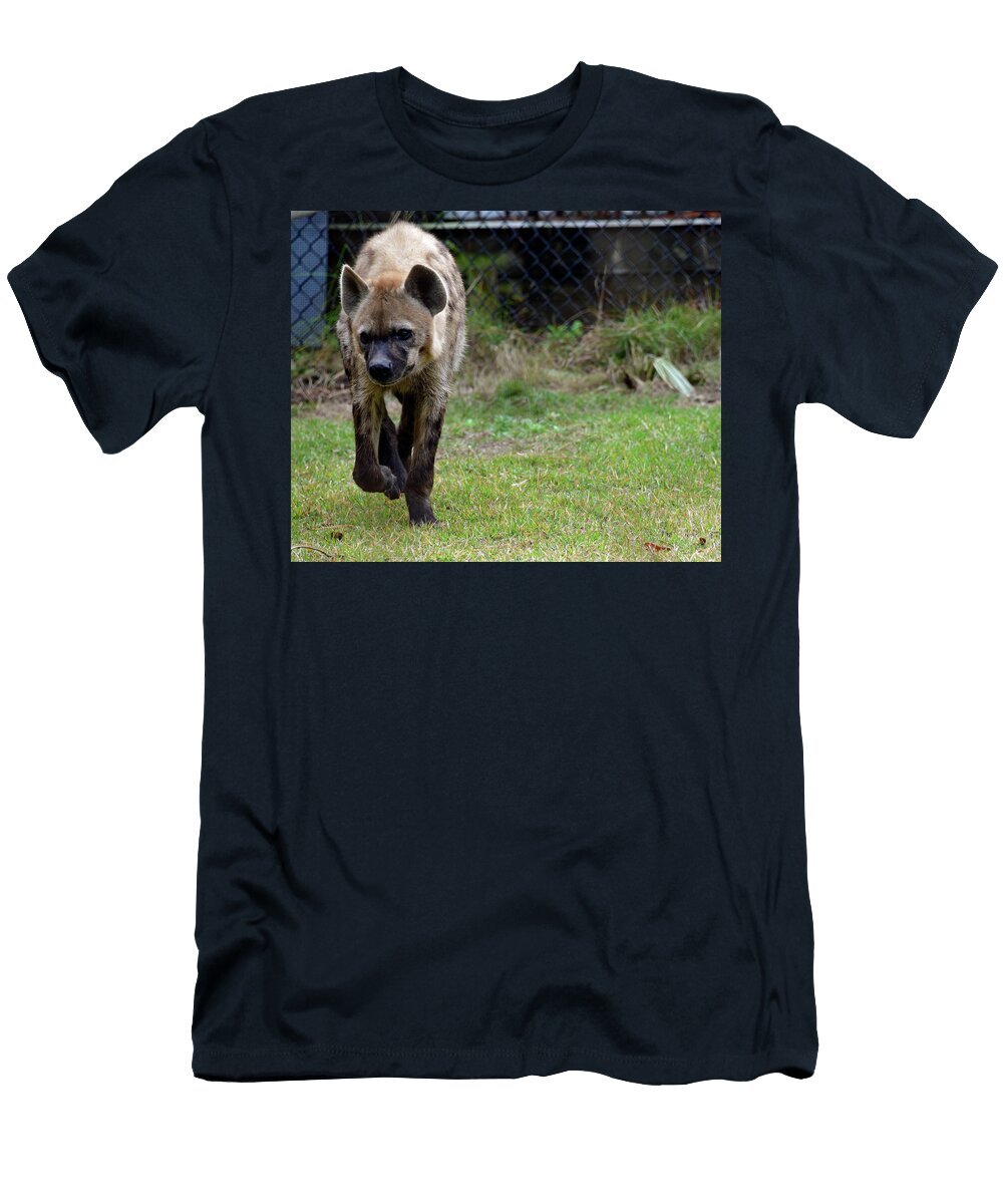 Laughing Hyena Denise Lash T-Shirt