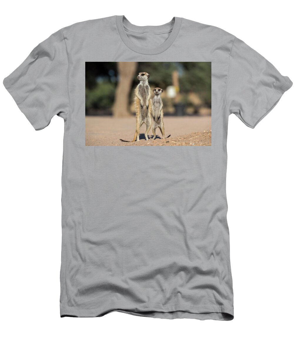 Meerkat At Campsite Kgalagadi Transfrontier Park Northern Ann Steve Toon Natureplcom T-Shirt
