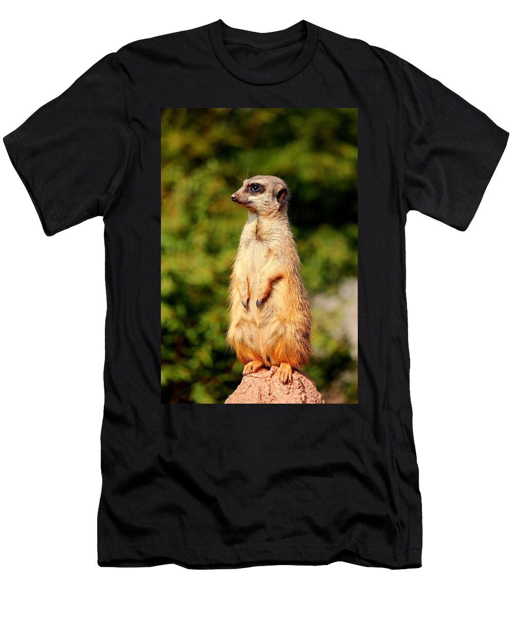 Meerkat Heike Hultsch T-Shirt