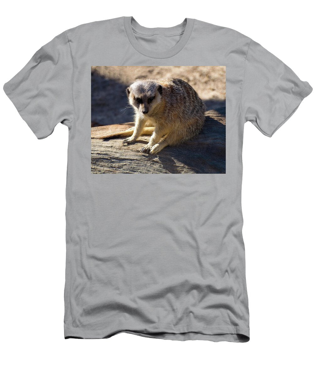 Meerkat Resting on a Rock Flees Photos T-Shirt