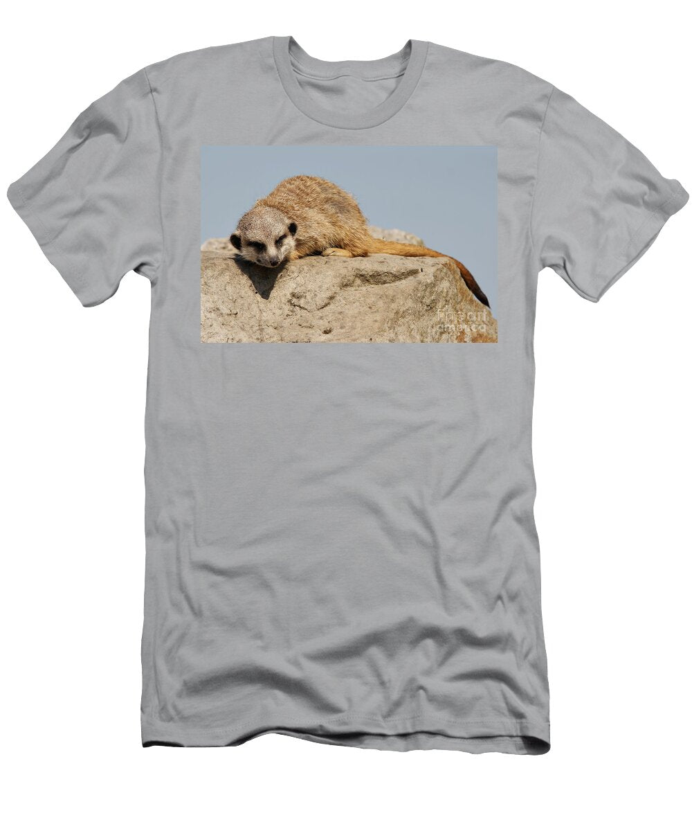 Sleeping Meerkat Michal Boubin T-Shirt